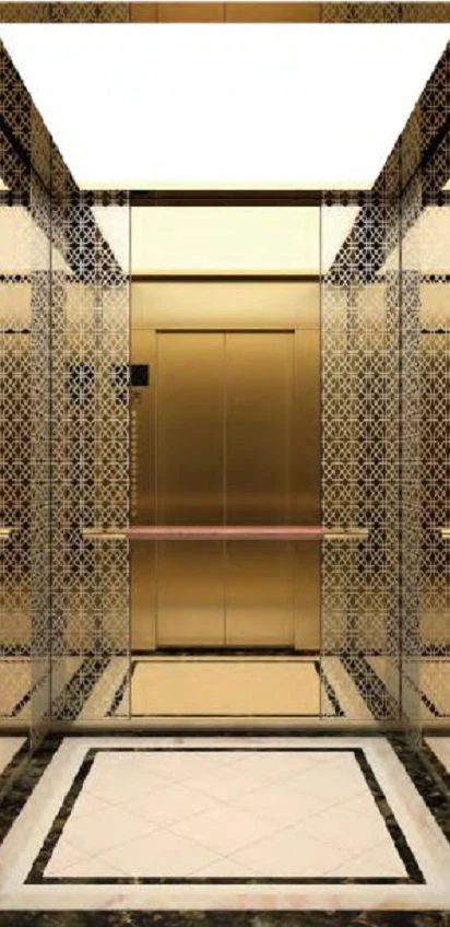 Smr Passneger Elevator